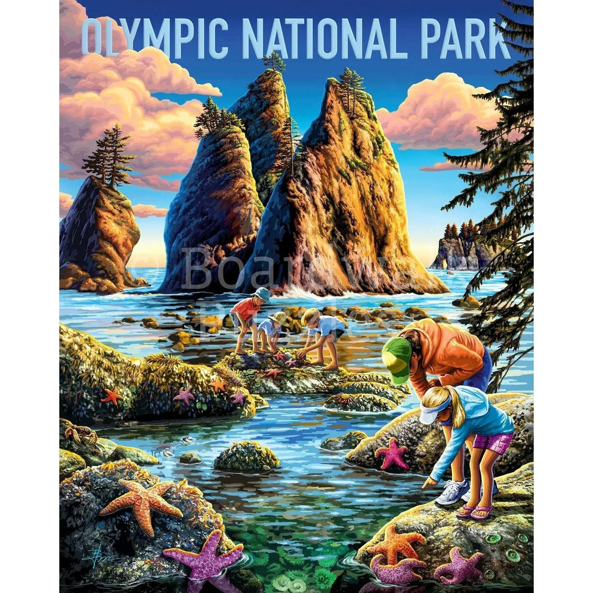 Olympic National Park 500 Piece Jigsaw Puzzle Boardwalk - BIG FRENCHIES