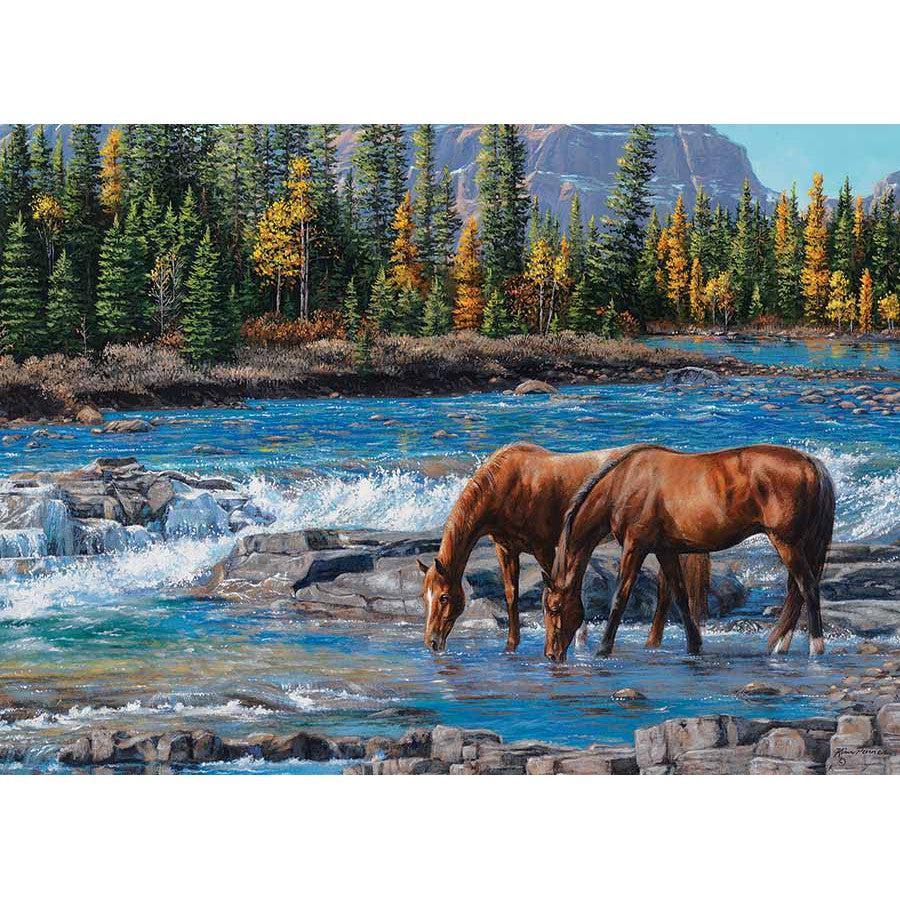 On the Rocks 1000 Piece Jigsaw Puzzle Cobble Hill - BIG FRENCHIES