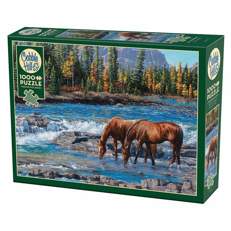 On the Rocks 1000 Piece Jigsaw Puzzle Cobble Hill - BIG FRENCHIES