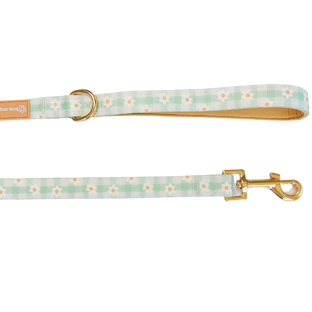 Oopsie Daisy! Leash-Leash-BIG FRENCHIES-EverWoof