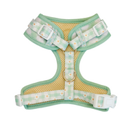 Oopsie Daisy! Adjustable Harness