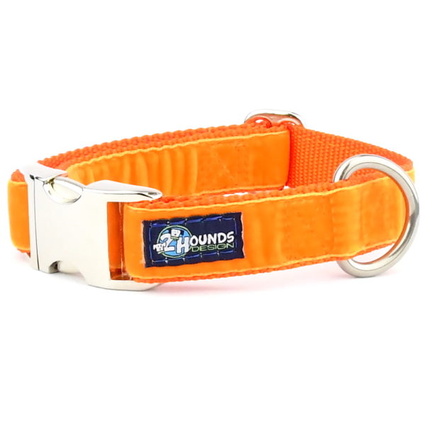 Orange Velvet Essential Dog Collar (1″ Only)-Pet Collars & Leashes-BIG FRENCHIES-2 Hounds Design
