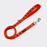 EcoBark Safety Orange Dog Leash- Padded Comfort Grip Leash with Dog Pattern - 4ft, 5ft, and 6ft Leash for Small and Medium Dogs - BIG FRENCHIES