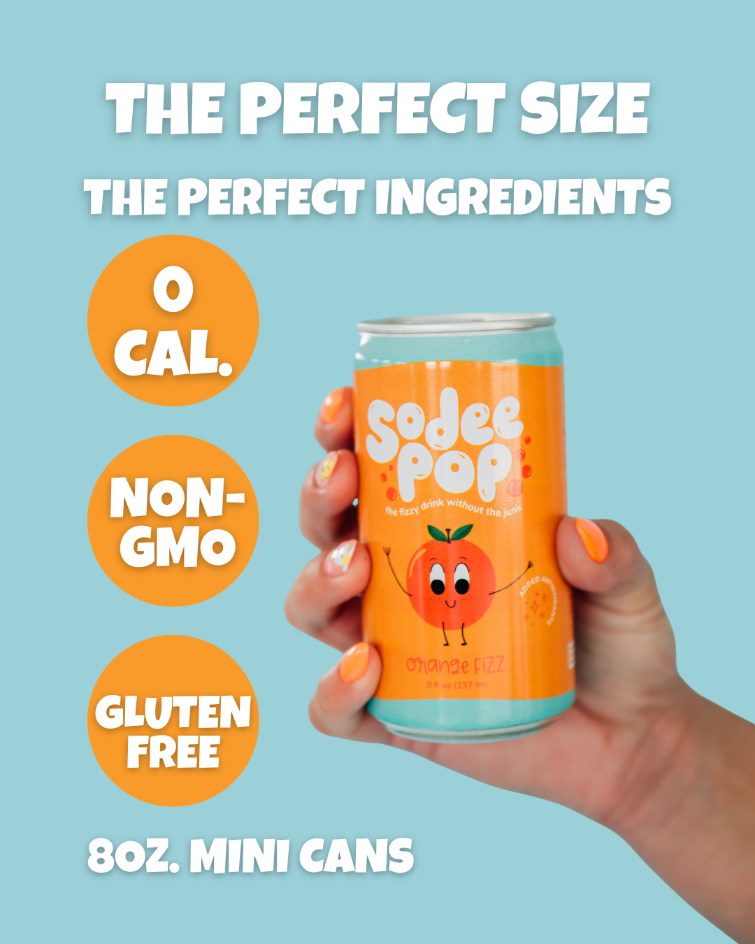ORANGE FIZZ-12 Pack - BIG FRENCHIES