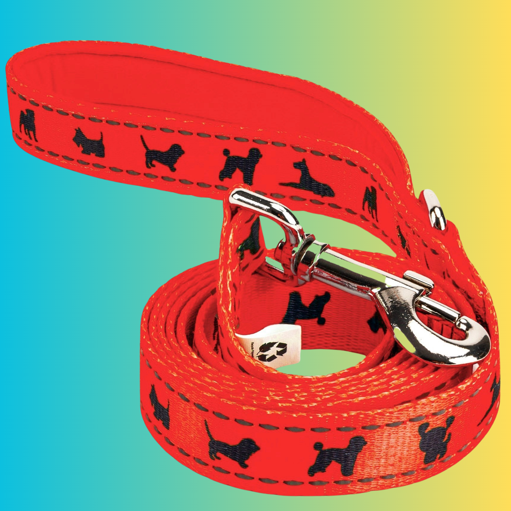 EcoBark Safety Orange Dog Leash- Padded Comfort Grip Leash with Dog Pattern - 4ft, 5ft, and 6ft Leash for Small and Medium Dogs - BIG FRENCHIES