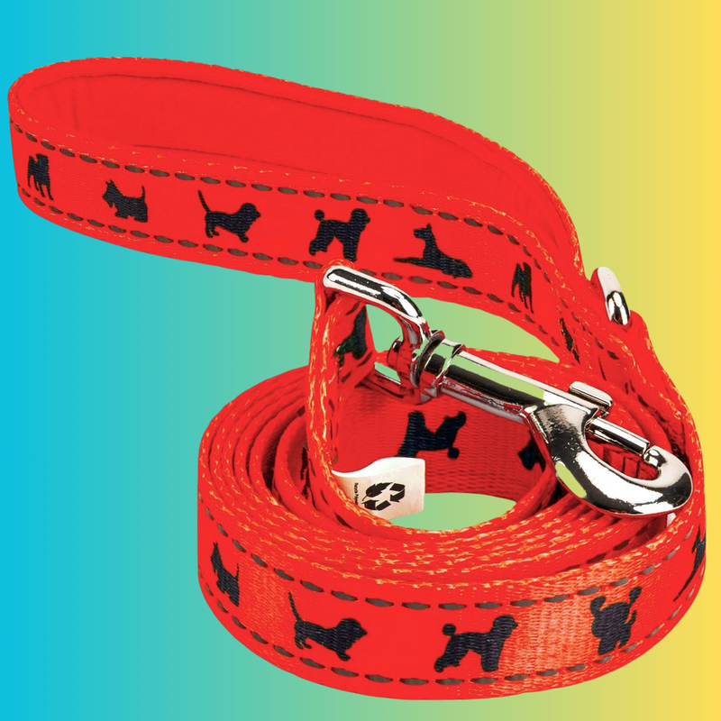 EcoBark Safety Orange Dog Leash- Padded Comfort Grip Leash with Dog Pattern - 4ft, 5ft, and 6ft Leash for Small and Medium Dogs - BIG FRENCHIES