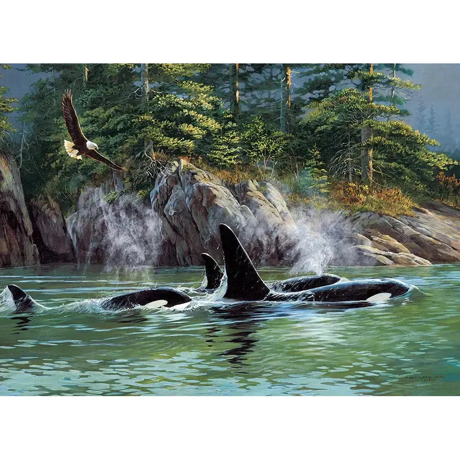Orcas 1000 Piece Jigsaw Puzzle Cobble Hill