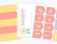 Pet Adoption Clinic Dramatic Play