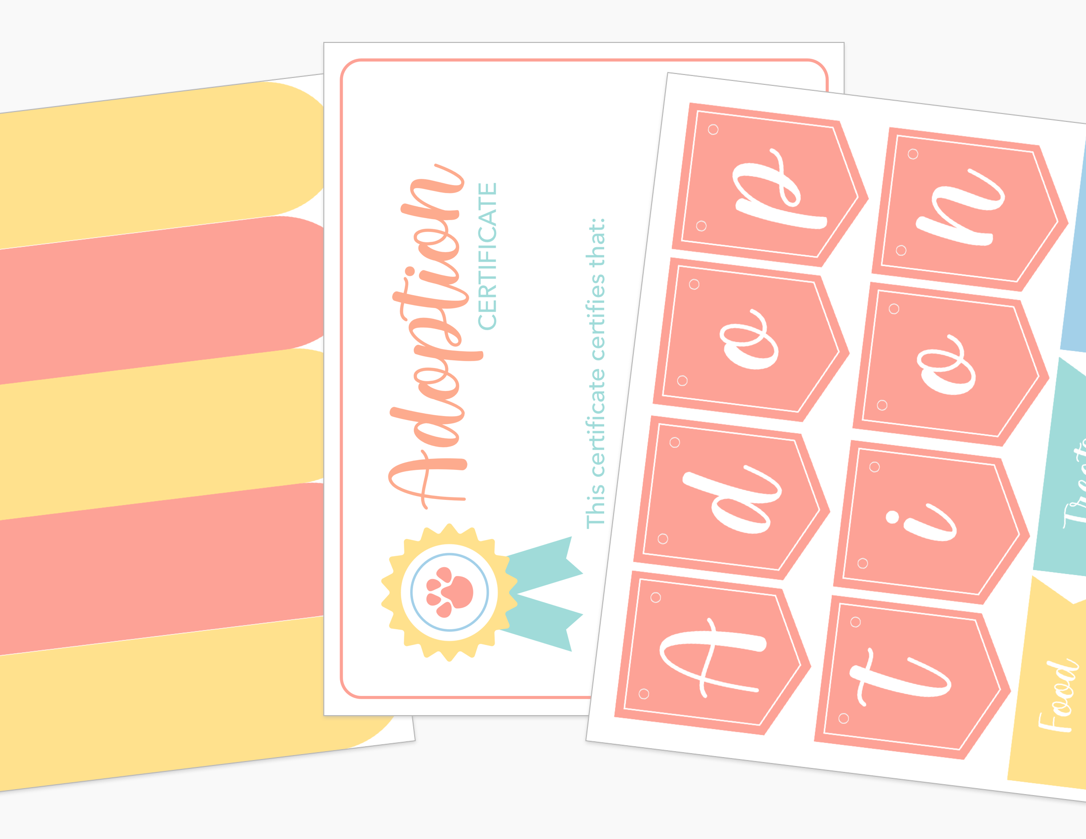 Pet Adoption Clinic Dramatic Play