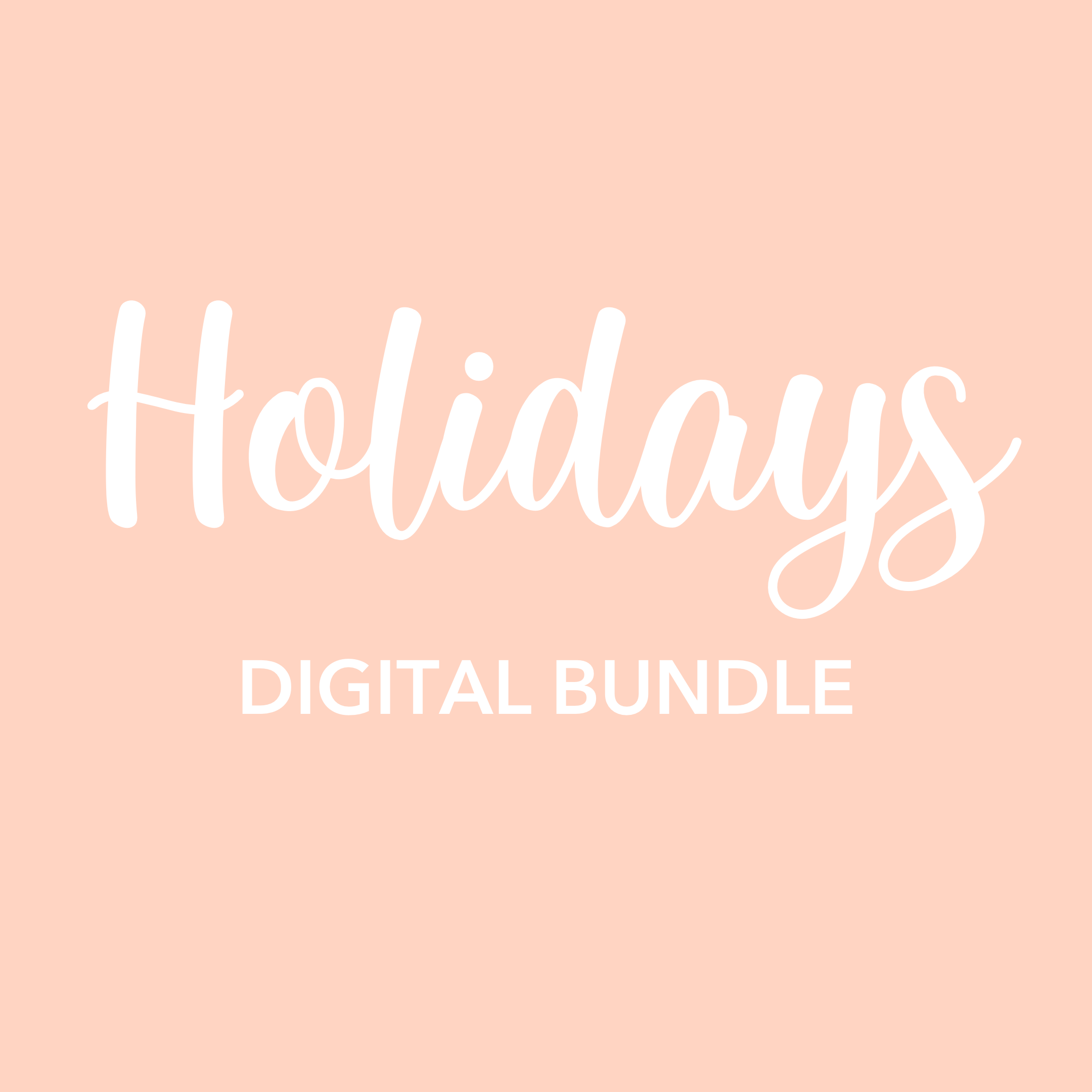 Holiday Dramatic Play Bundle
