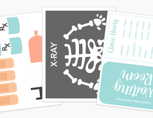 Doctor's Office Dramatic Play