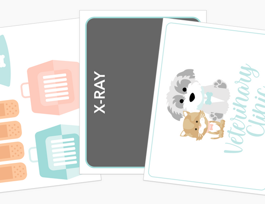 Vet Clinic Dramatic Play