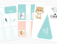 Vet Clinic Dramatic Play