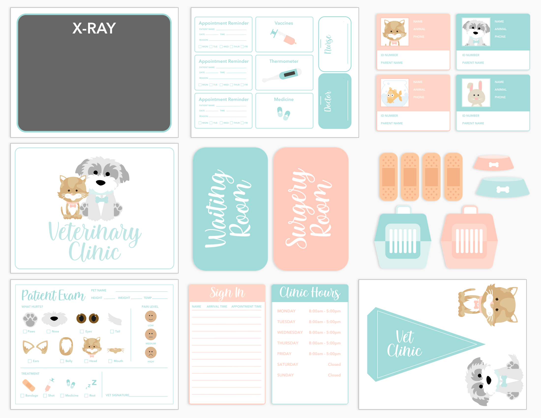 Vet Clinic Dramatic Play