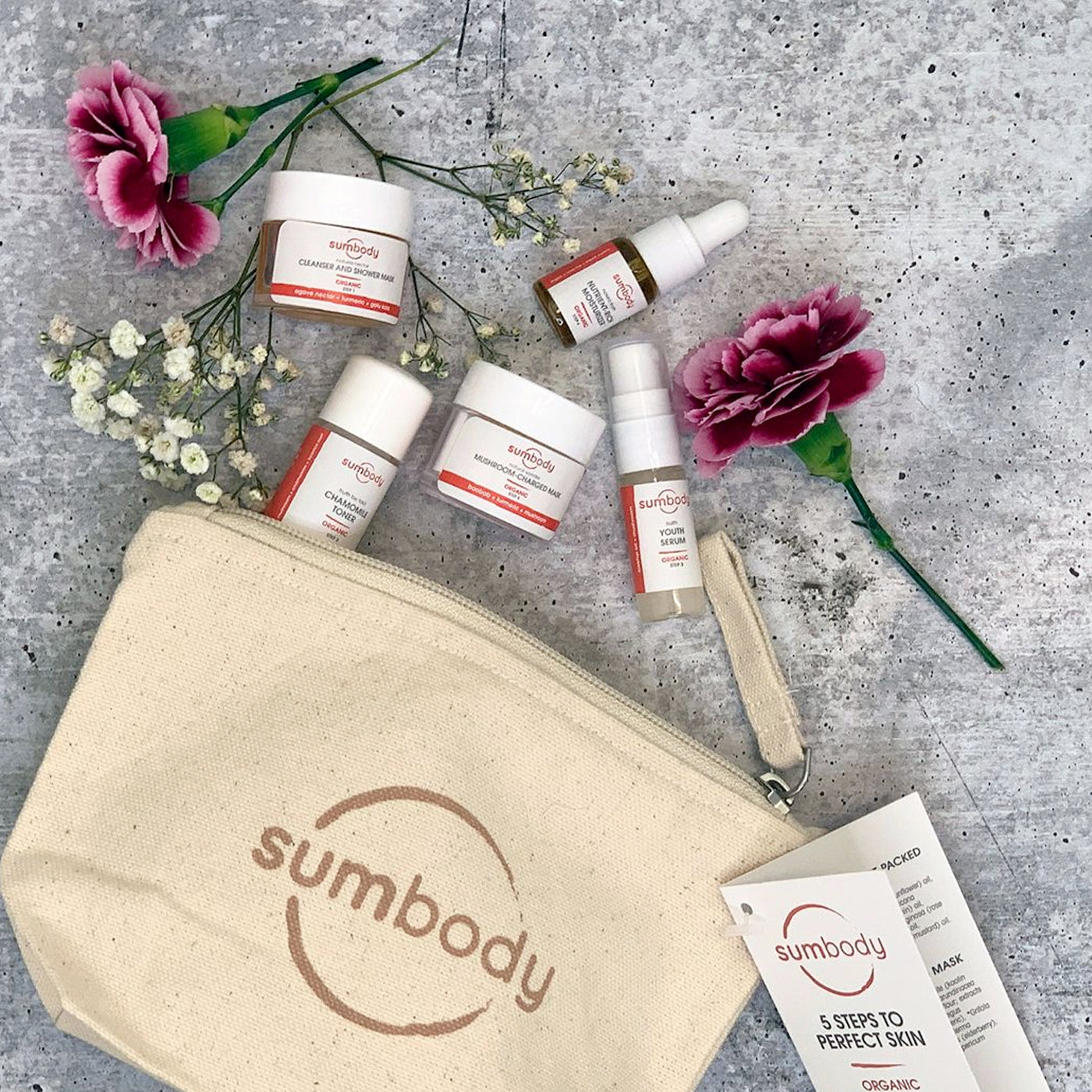 5 Steps to Perfect Skin Organic Mini Kit - BIG FRENCHIES