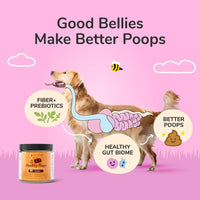 Organic Pumpkin Powder Dogs Cats Digestive Probiotic Fiber Support 8oz