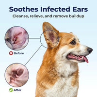 Oticbliss Medicated Ear Flush for Dogs & Cats – Chlorhexidine & Ketoconazole 12oz