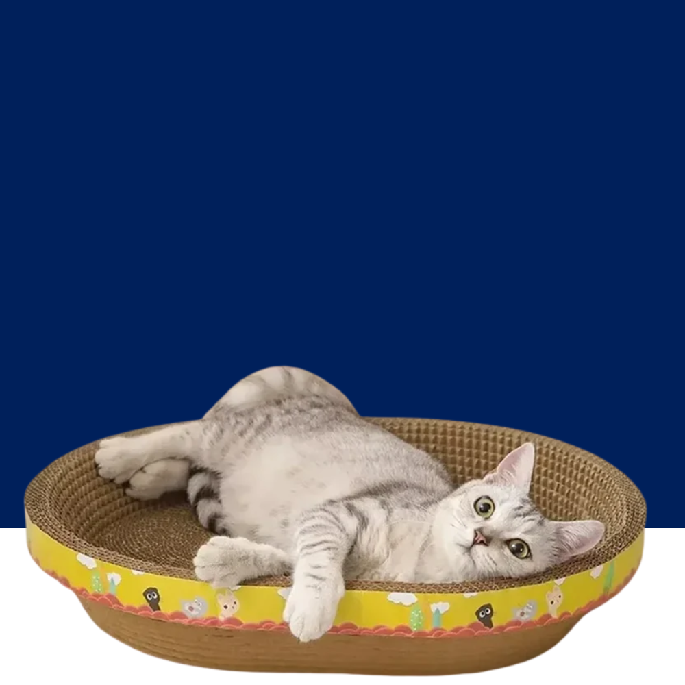 Oval Cat Scratch Board – Cat Scratcher and Bed - BIG FRENCHIES
