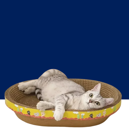 Oval Cat Scratch Board – Cat Scratcher and Bed - BIG FRENCHIES
