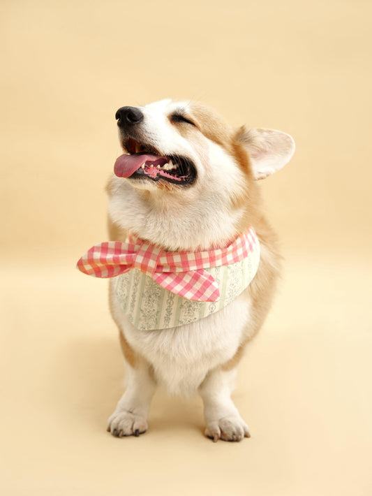 Picnic Bliss Floral Gingham Print Bandana