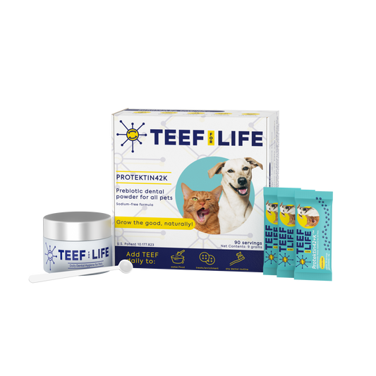 Dental Kits: Protektin42K - Prebiotic Dental Powder for All Pets (Sodium-free)