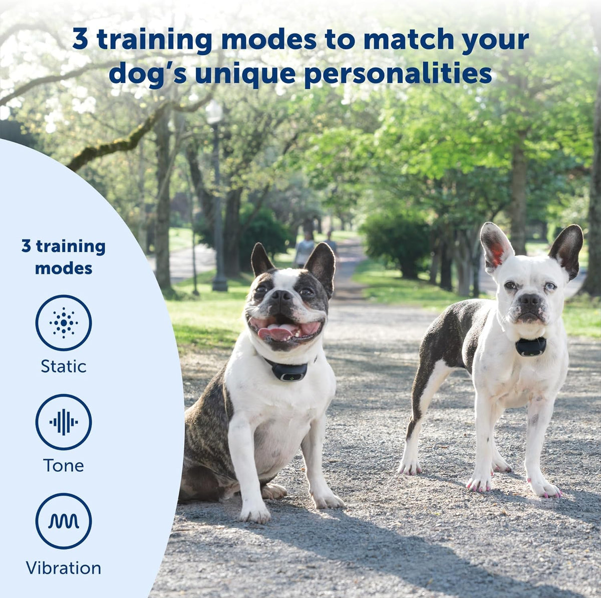 PetSafe Add-A-Dog Receiver Collar, Standard - Second Collar for PetSafe Remote Trainers, Fits Necks up to 28 in