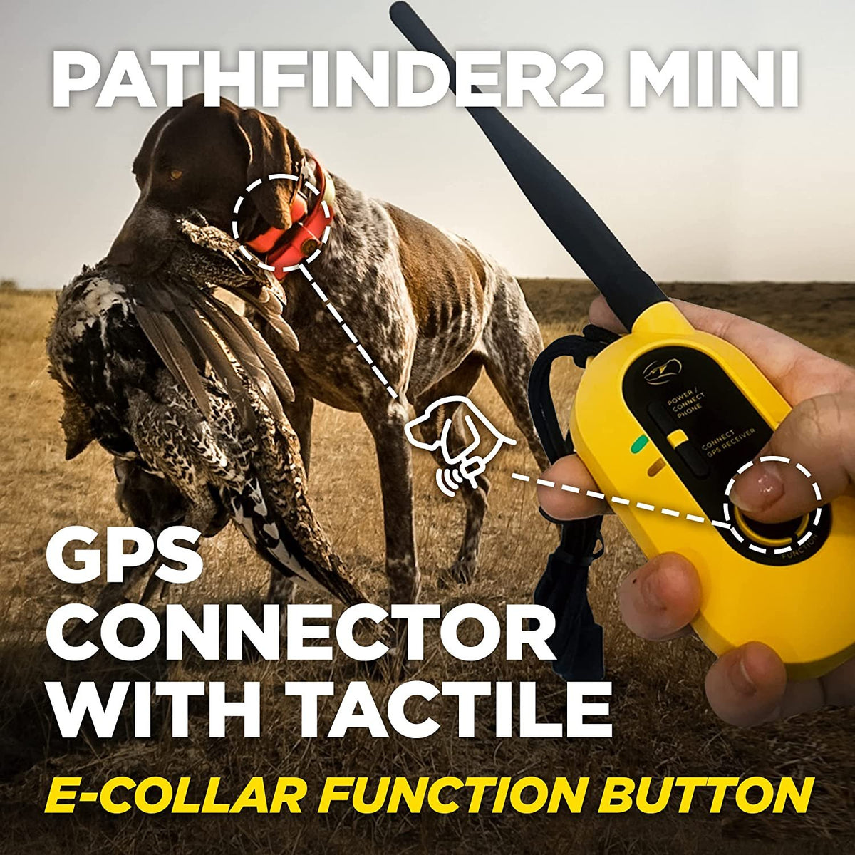 Dogtra PATHFINDER2 Mini Additional GPS Tracking and Training Collar - Green Add-On for PATHFINDER2 Mini