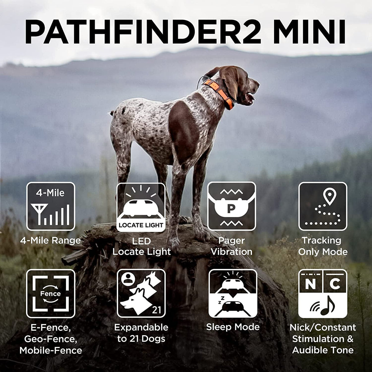 Dogtra PATHFINDER2 Mini Additional GPS Tracking and Training Collar - Green Add-On for PATHFINDER2 Mini