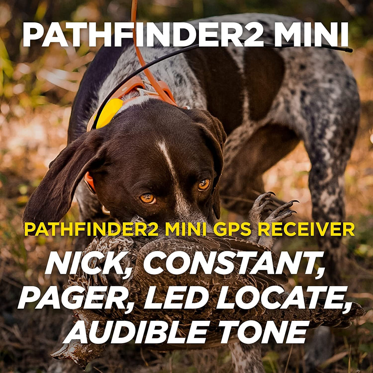 Dogtra PATHFINDER2 Mini Additional GPS Tracking and Training Collar - Green Add-On for PATHFINDER2 Mini
