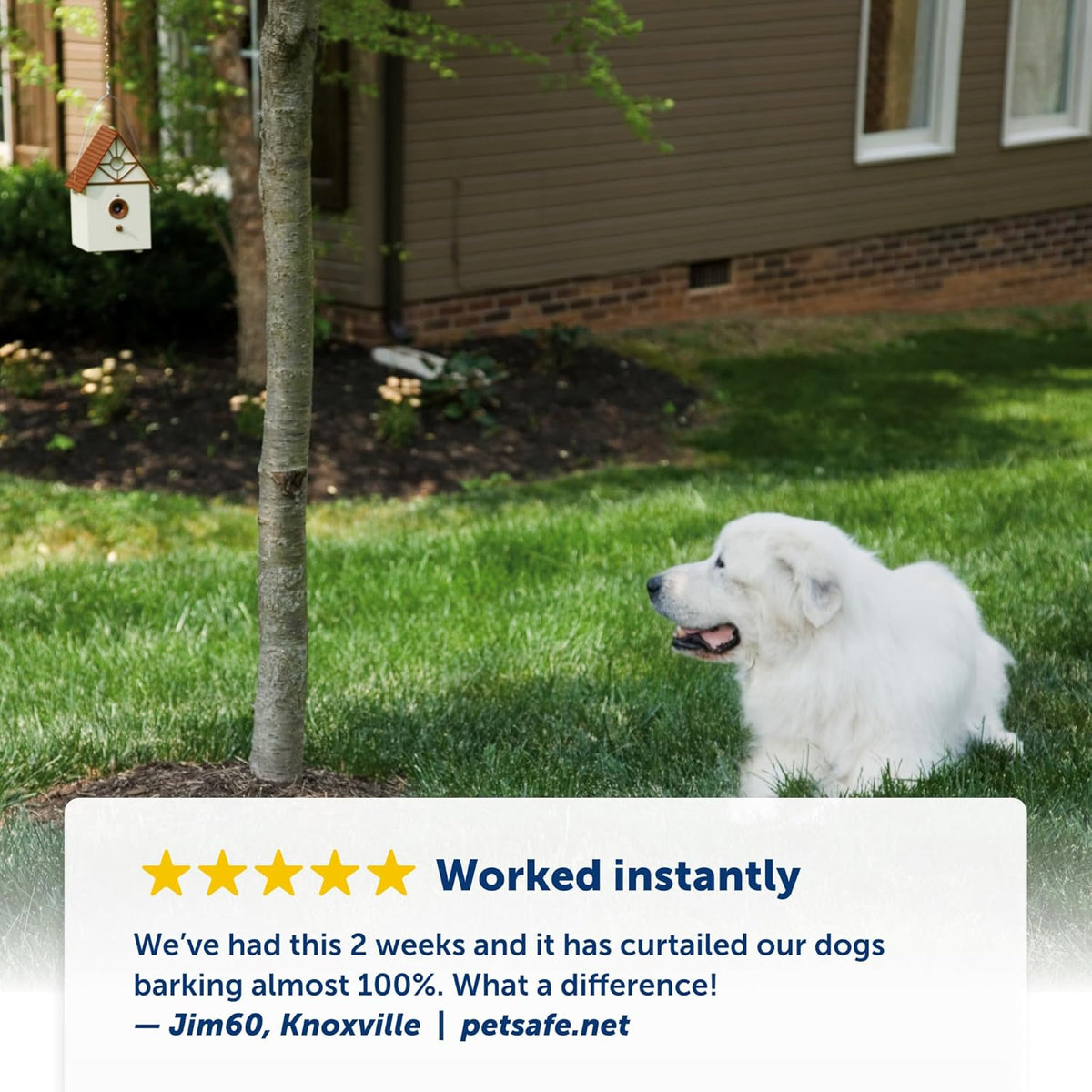 PetSafe Outdoor Ultrasonic Bark Control Birdhouse, Weatherproof, Covers Up to 1/4 Acre
