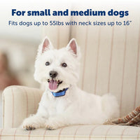 PetSafe Elite Little Dog Spray Bark Collar, Citronella, Waterproof, for Dogs 8 lb+ up to 22 in Neck
