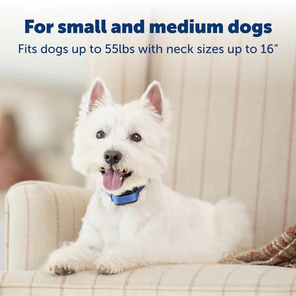 PetSafe Elite Little Dog Spray Bark Collar, Citronella, Waterproof, for Dogs 8 lb+ up to 22 in Neck