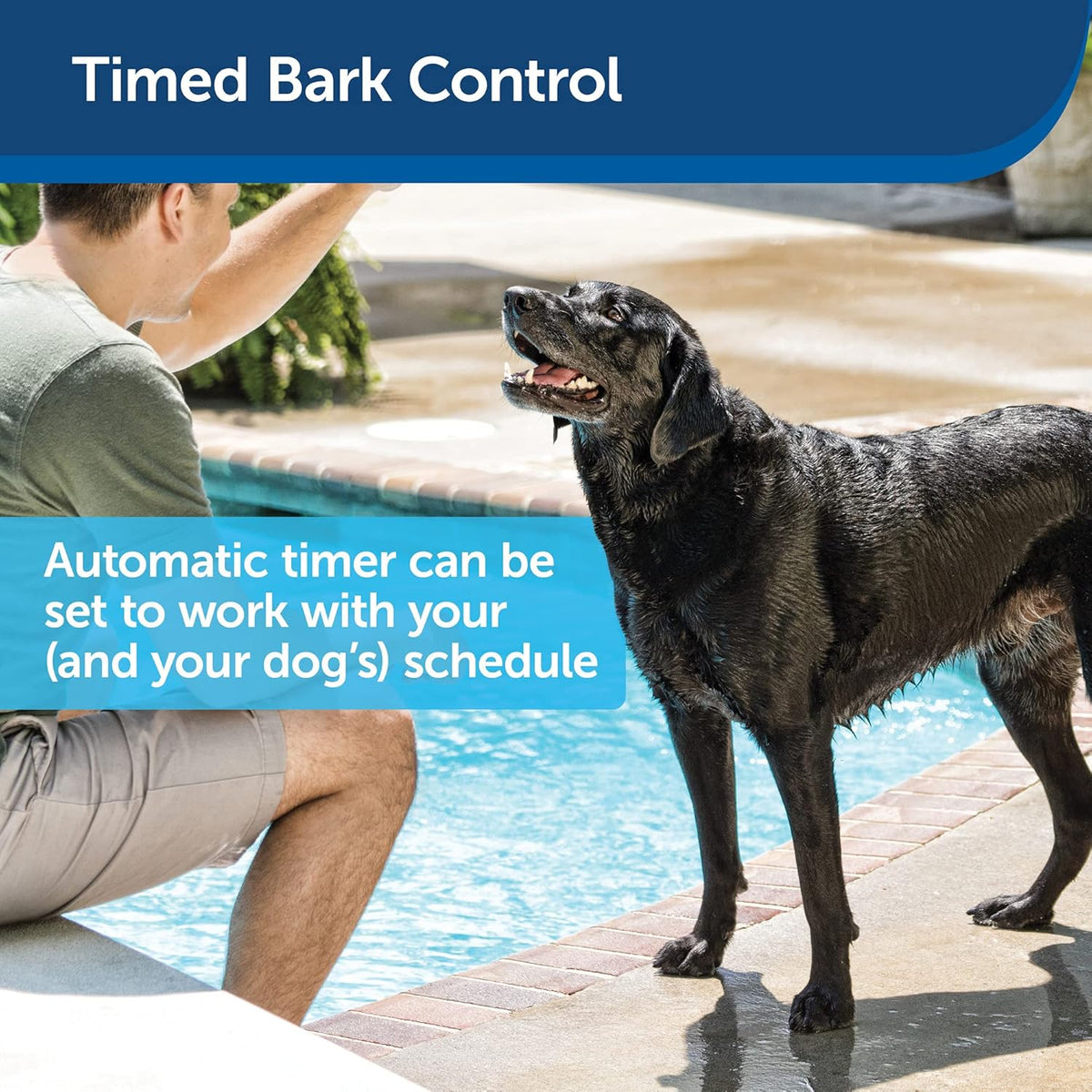 PetSafe Elite Outdoor Bark Control with Digital Timer, Ultrasonic Birdhouse, 1/4 Acre Coverage