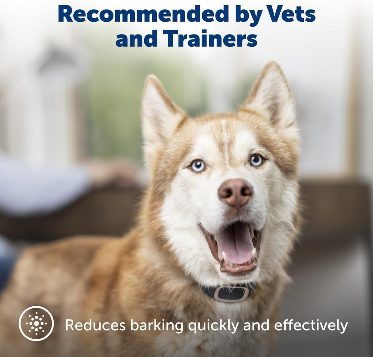 PetSafe Bark Control Collar with 15 Progressive Static Levels, Waterproof, Dogs 8 lb+ up to 27 in Neck