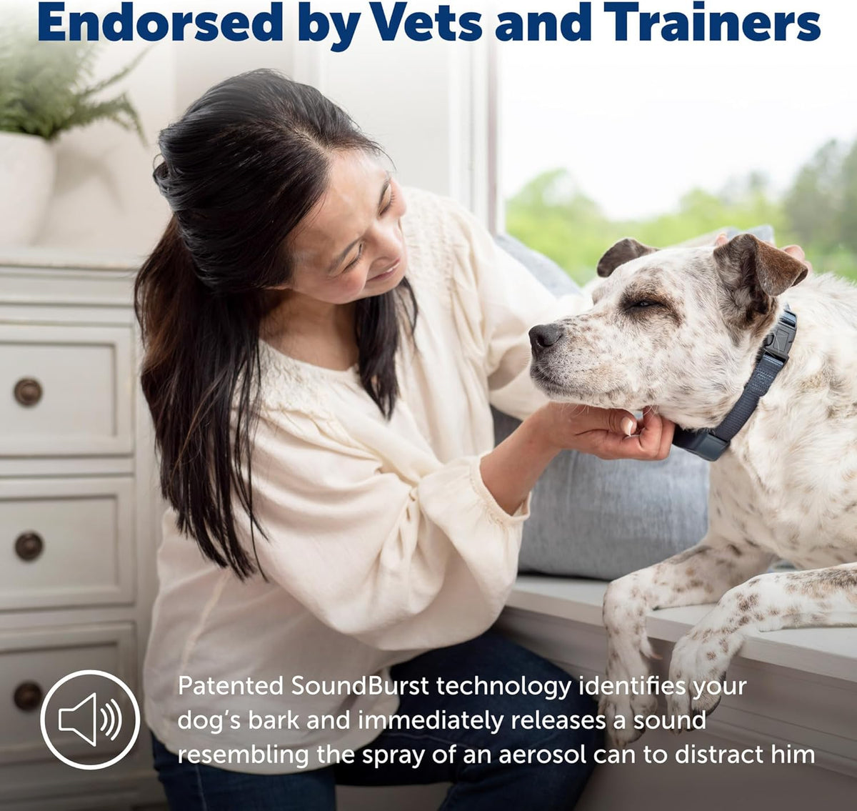 PetSafe Audible Bark Collar with SoundBurst Technology, Waterproof, for Dogs 8 lb and Up