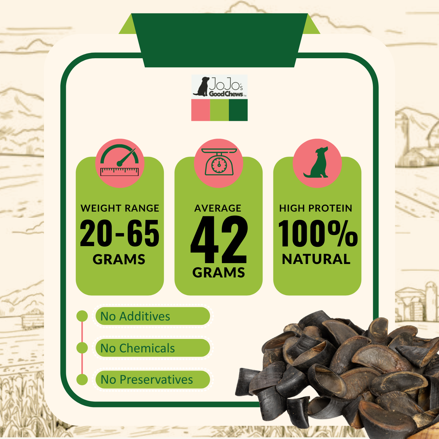 All-Natural Cow Hooves Dog Chews – Premium Crunchy Treats for Dental Health – (25/Case) - BIG FRENCHIES