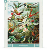 Hummingbirds - BIG FRENCHIES