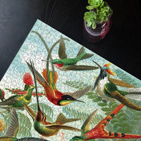 Hummingbirds - BIG FRENCHIES