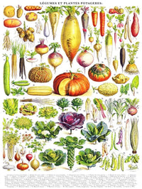 Vegetables ~ Légumes - BIG FRENCHIES
