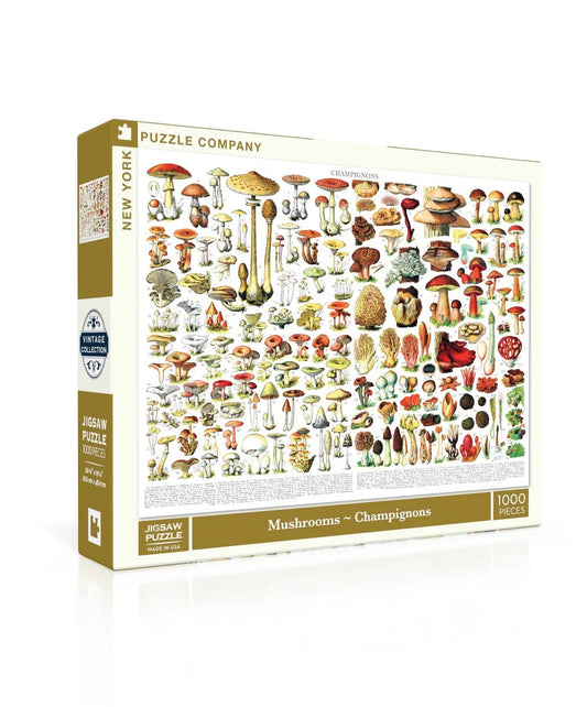 Mushrooms ~ Champignons - BIG FRENCHIES
