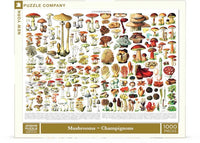 Mushrooms ~ Champignons - BIG FRENCHIES