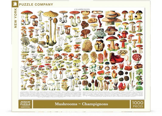 Mushrooms ~ Champignons - BIG FRENCHIES