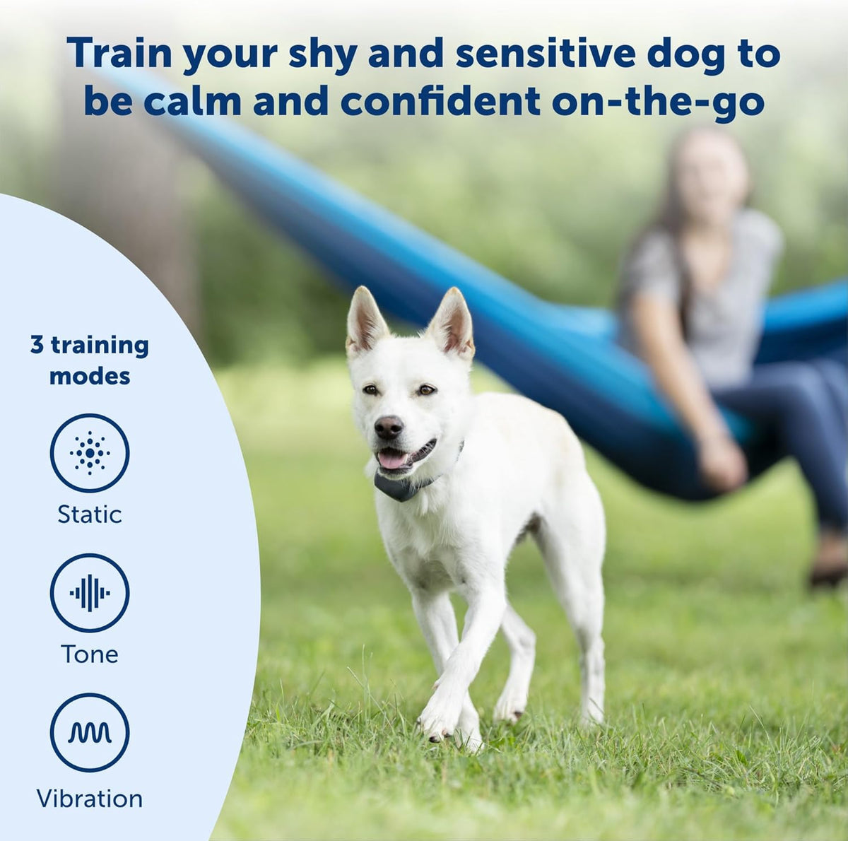 PetSafe 300 Yard Lite Remote Trainer with Tone, Vibration & 15 Static Levels for Small to Medium Dogs