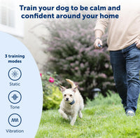 PetSafe 100 Yard Lite Remote Trainer, Short-Range Tone, Vibration & Static Training for Small to Medium Dogs