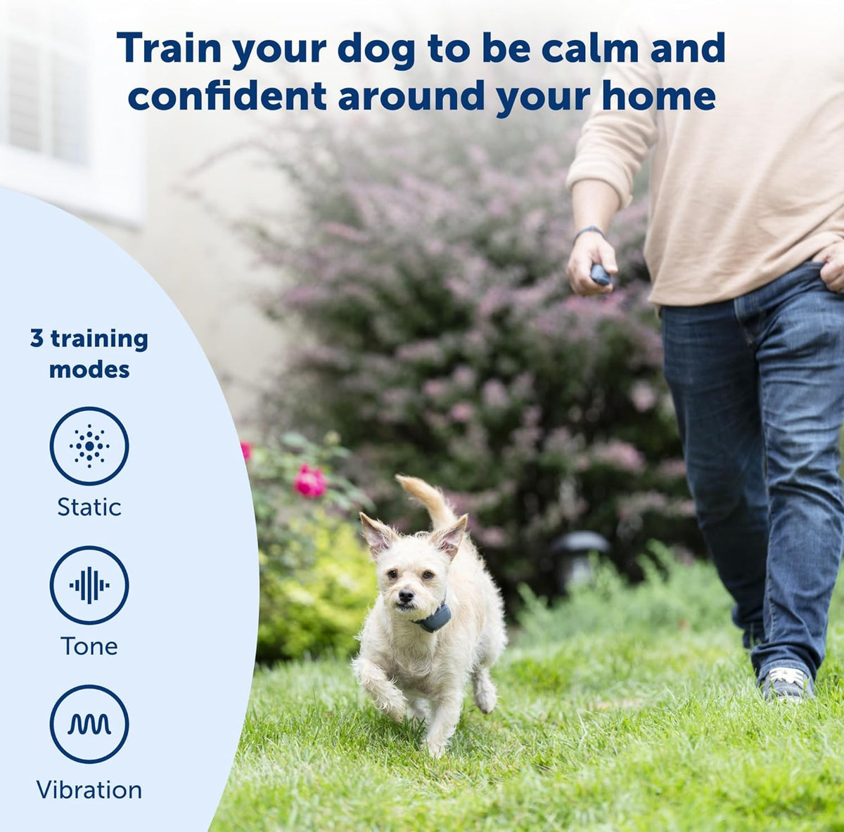 PetSafe 100 Yard Lite Remote Trainer, Short-Range Tone, Vibration & Static Training for Small to Medium Dogs