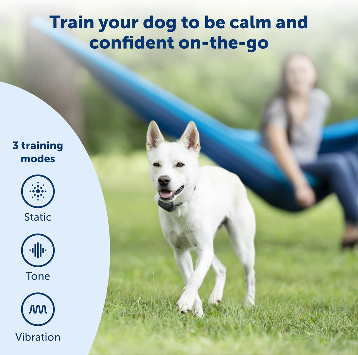 PetSafe 300 Yard Remote Trainer PDT00-16117 for Medium to Large Dogs, Coated Nylon Waterproof Collar
