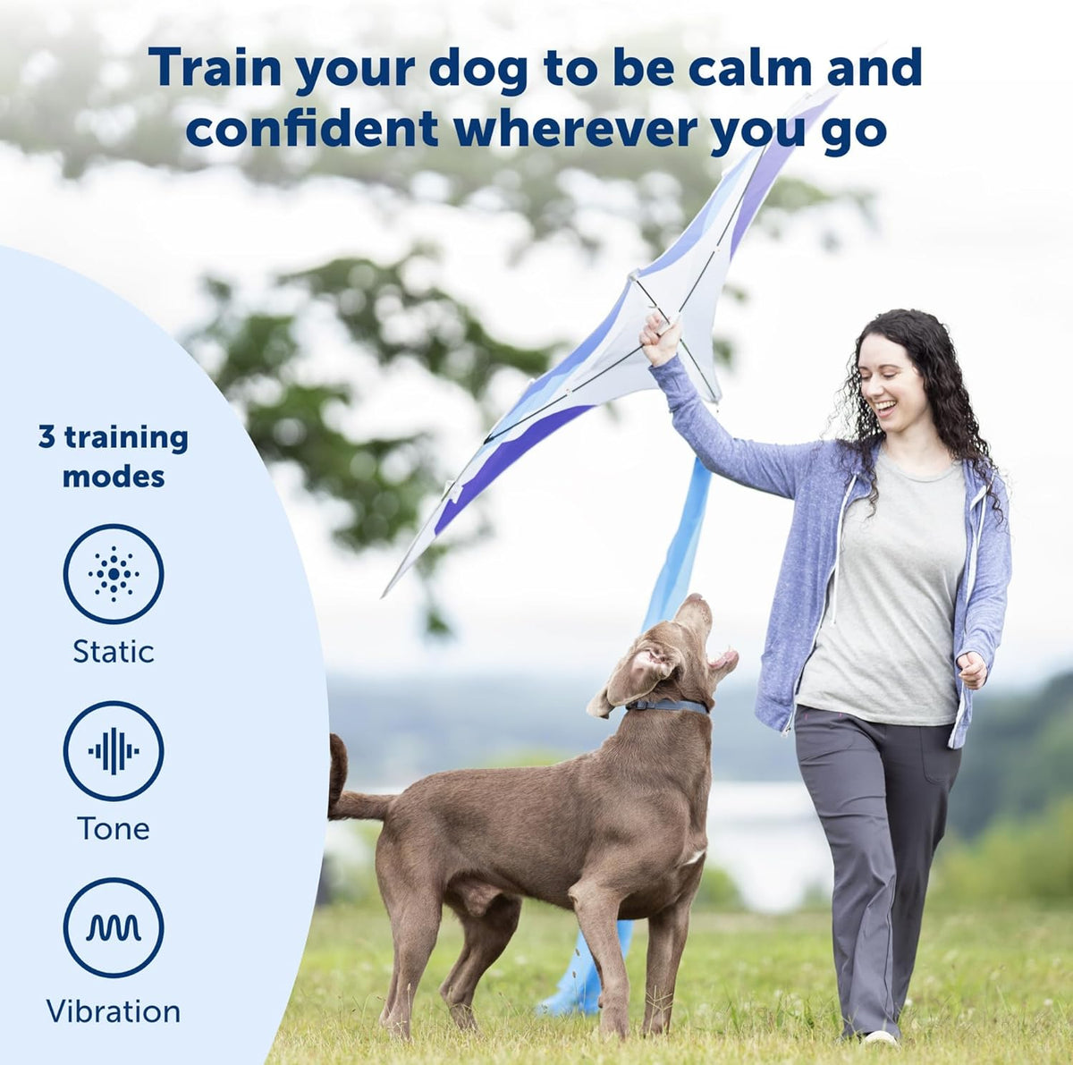 PetSafe 900 Yard Remote Trainer, Long-Range Tone, Vibration & 15 Static Levels with Backlit Remote