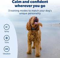 PetSafe 300 Yard Remote Spray Trainer for Dogs with Tone, Vibration & Citronella or Unscented Spray