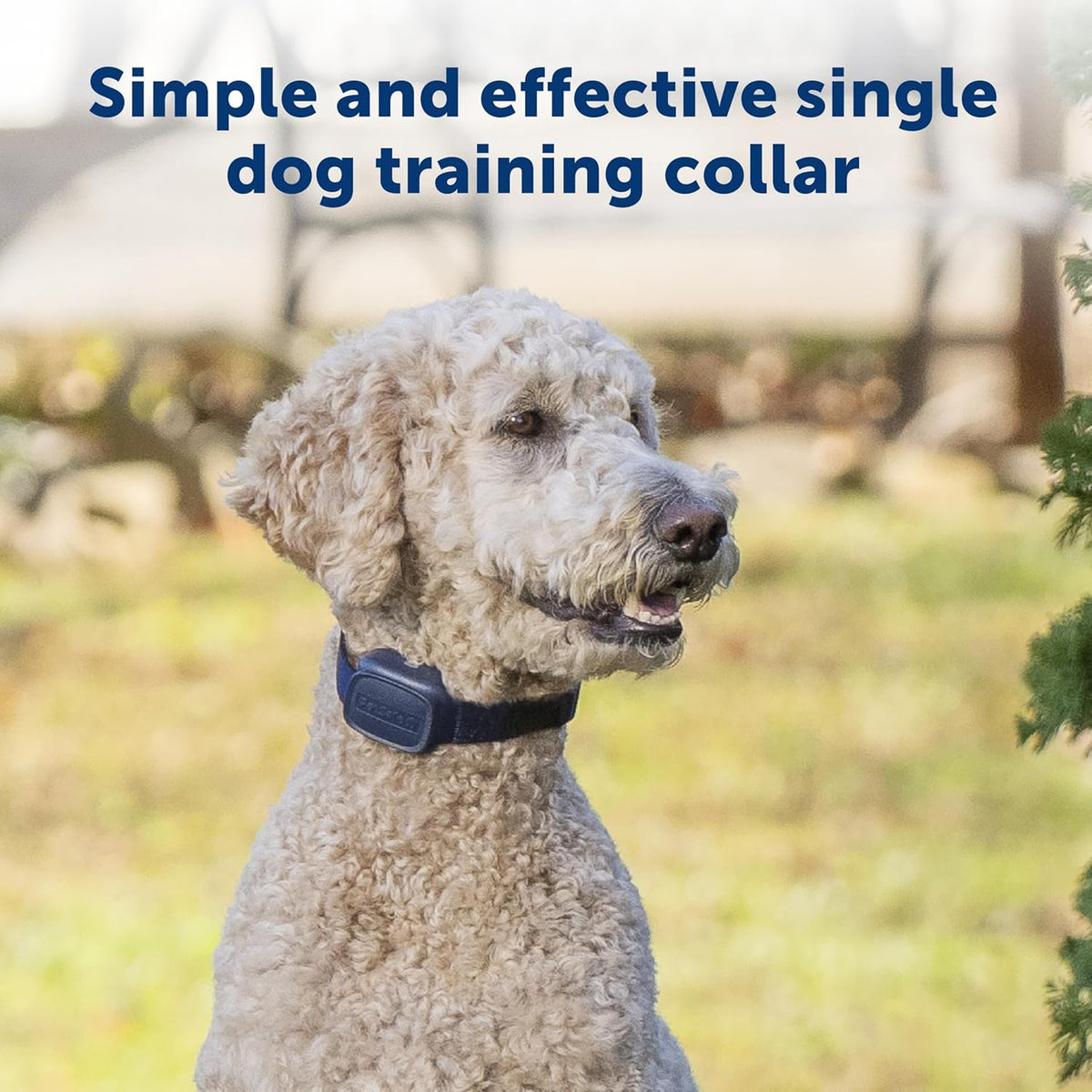 PetSafe Basic Dog Trainer with Remote, Tone, Vibration & 8 Static Levels, 300 ft Range, Waterproof