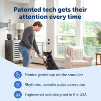 PetSafe Basic Dog Trainer with Remote, Tone, Vibration & 8 Static Levels, 300 ft Range, Waterproof